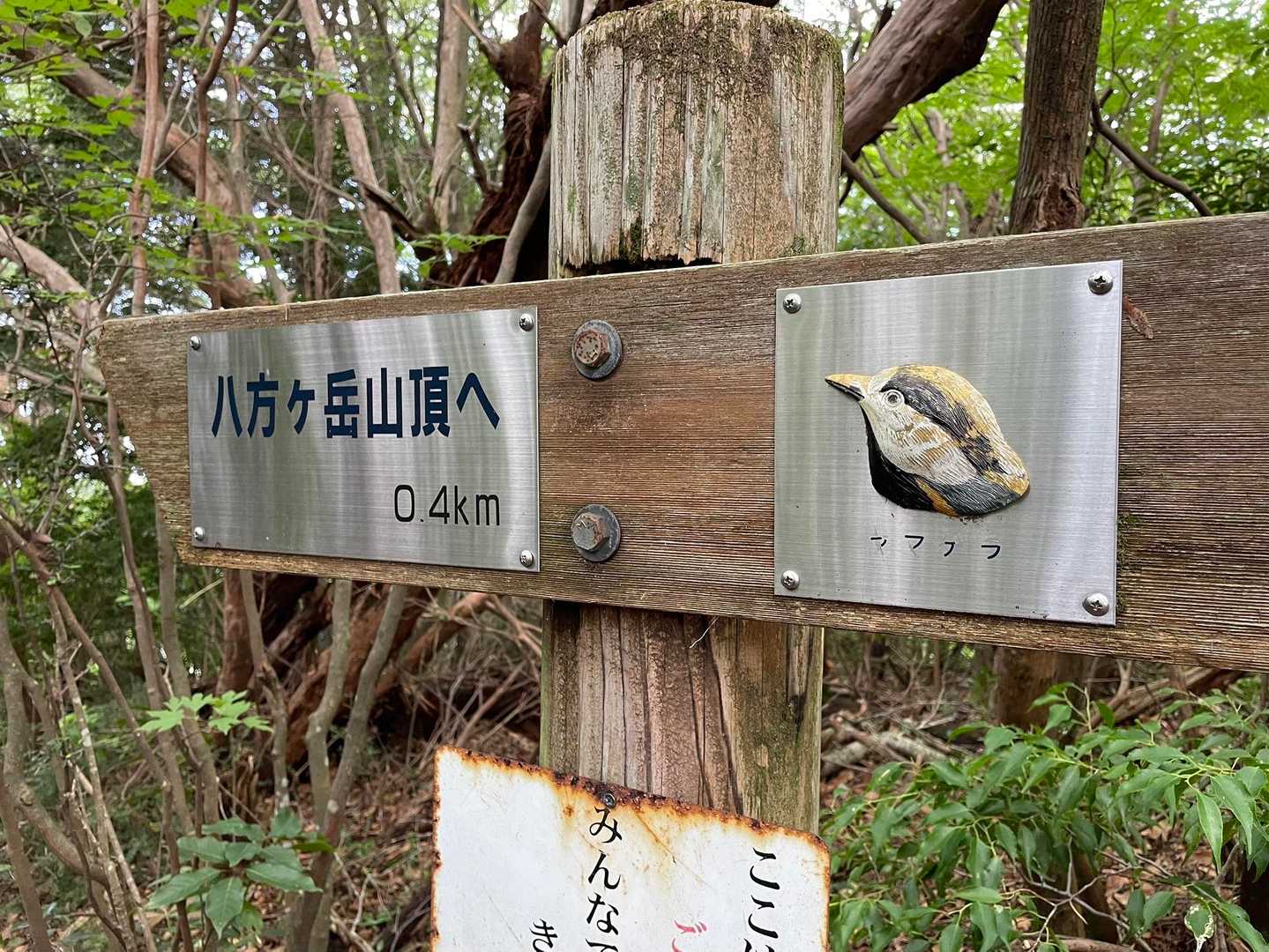 0.4km
ヤマゲラ？
たくさん生息しているのかな🤔
