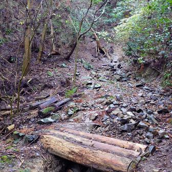 なんか滝があるらしいけど、水の音もしなかったよ🤔