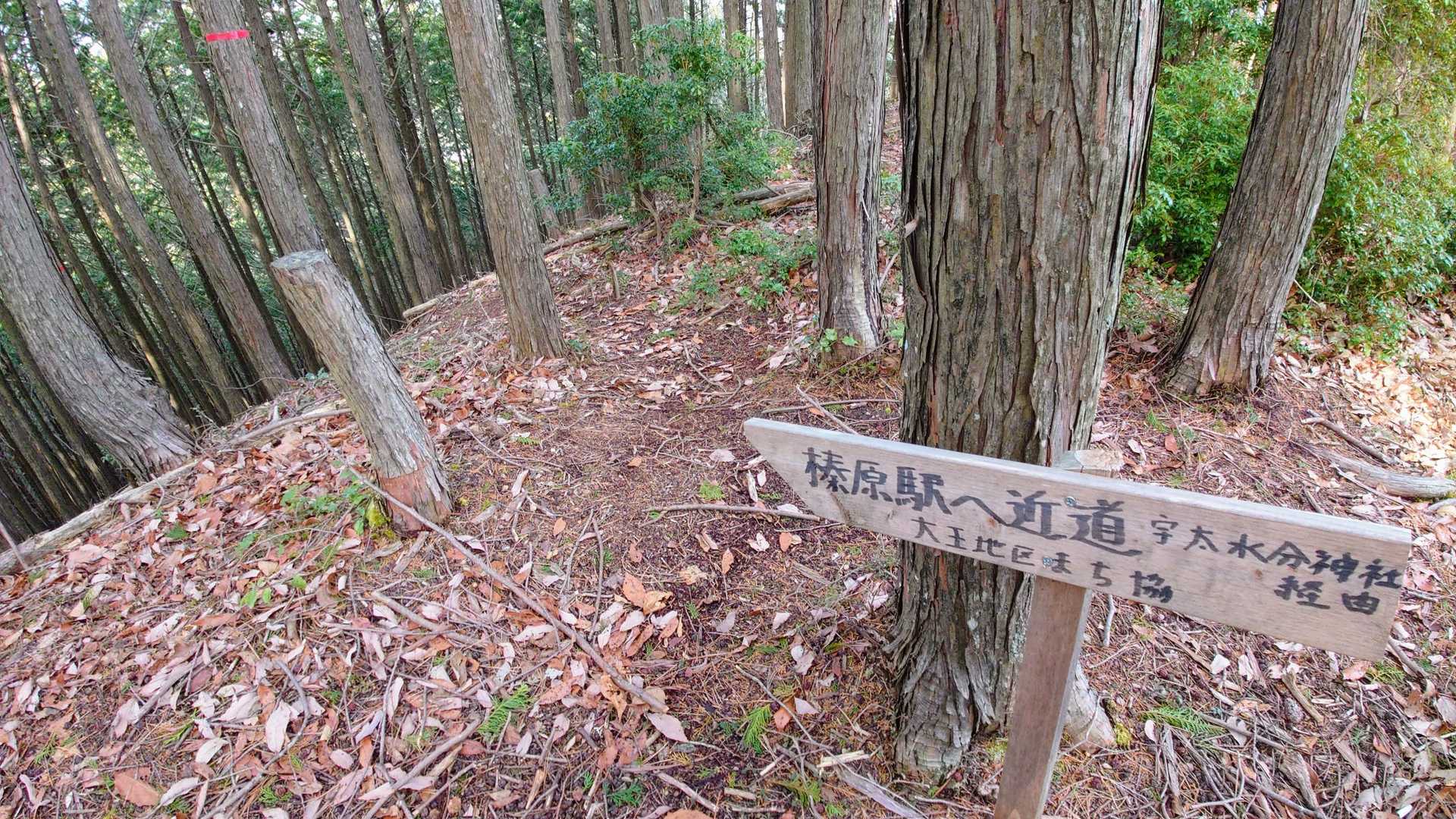 駐車場へ戻るにはこっちの道(榛原駅への近道)で下ります💦