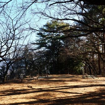 のんびりとした雰囲気。