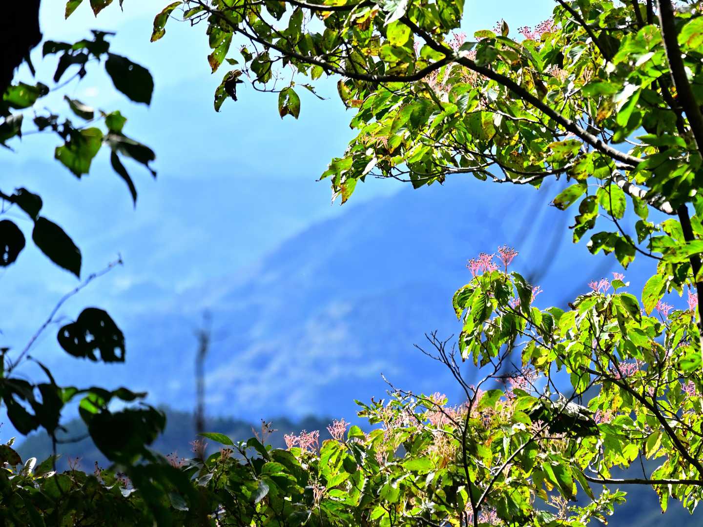 高賀山登山口-御坂峠-高賀山 往復コースの写真