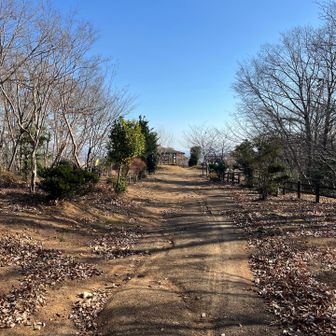 見晴らし広場へ