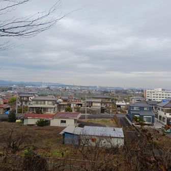 阿須アルプス入り口付近から見た飯能市街地。ここから飯能駅までは街歩きです。