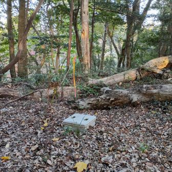 向こうに笠森寺がかすかに見えます。