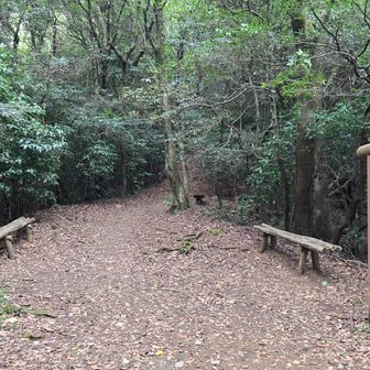 上野越え