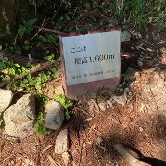 標高200m毎にありますが