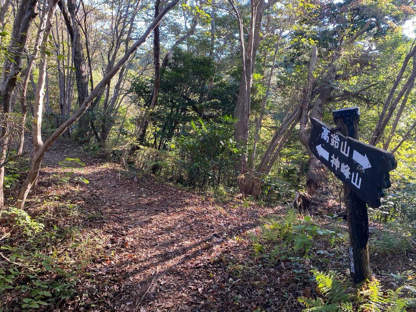 神峰山-御岩山-高鈴山 周回コースの写真