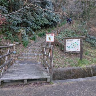 下山、こちらから登った方が下山時に景観良さげ