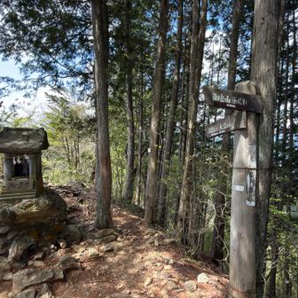 大岳山へ🚶