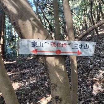 ルートは合ってたようだ