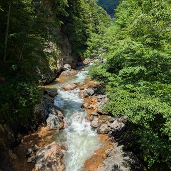 中の湯バス停を下車、そのすぐそばの橋の上から📸