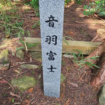 音羽富士
以前と逆回りだからかな？
イメージより急じゃ無いね…