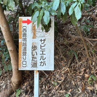 ザビエルが歩いたコースらしい