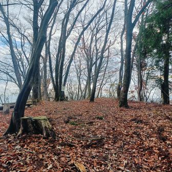 早くも網代城山に到着。