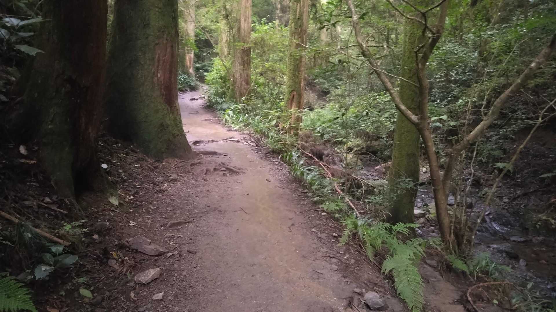 やっぱ…沢沿いでも暑い(暑い)😩
高低差が縮まると少～しだけ涼しい(暑い)