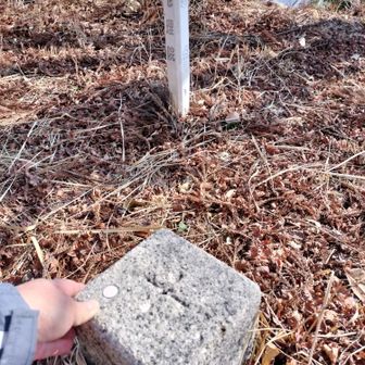 三等三角点タッチ🫳