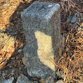 ここも四等三角点