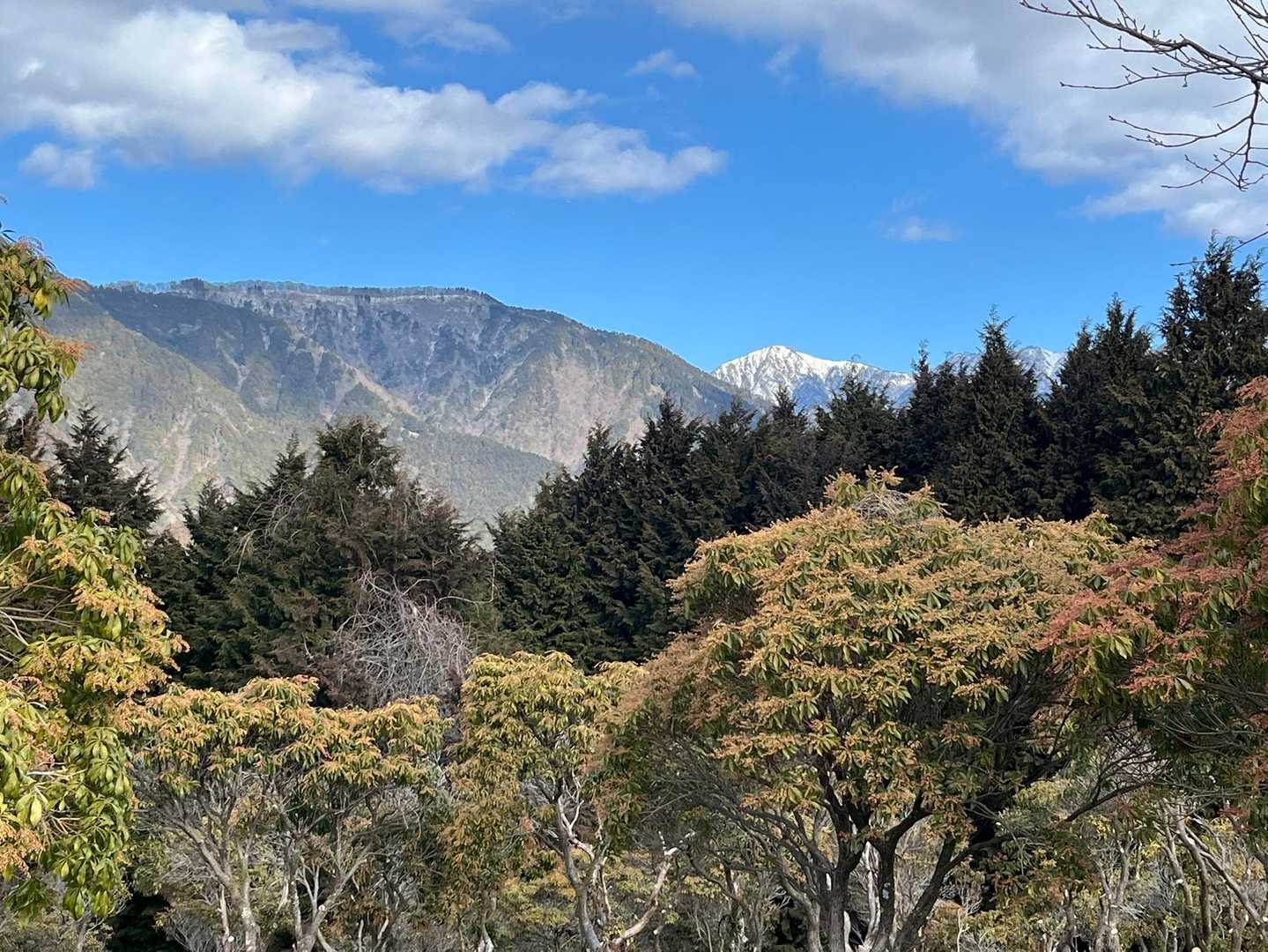 白い蛭ヶ岳綺麗😍光ってるよ🤩
アセビが沢山