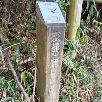 ではトレイルに戻りましょう