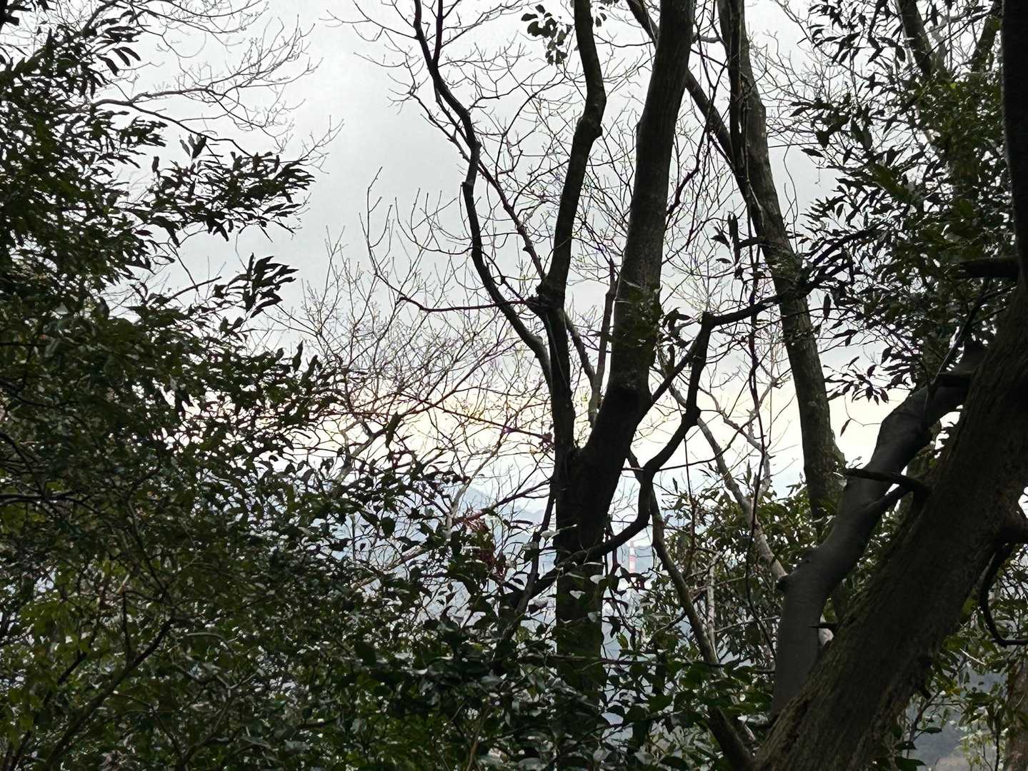 なんとなーく
おとなりの
山が(•̥̑.̮•̥̑)
