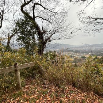 こちらのコースは初めて　桜🌸の頃はどんな感じなんだろう