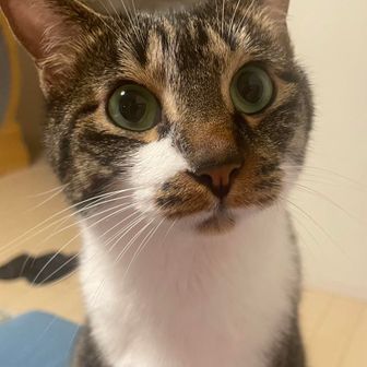 いった。