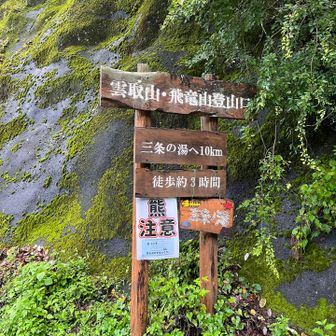 しばらくは林道歩き。三条の湯に行く道でもあるのですね。

※この日記を書いている最中に知りましたが、土砂崩落のため、9/24から三条の湯へ向かう林道後山線が全面通行止めになっているそうです。詳しくは下のリンクを。ご注意ください。
YAMA HACK[ヤマハック] 
https://share.google/DM1Jl6Erdr6ZLrrxq