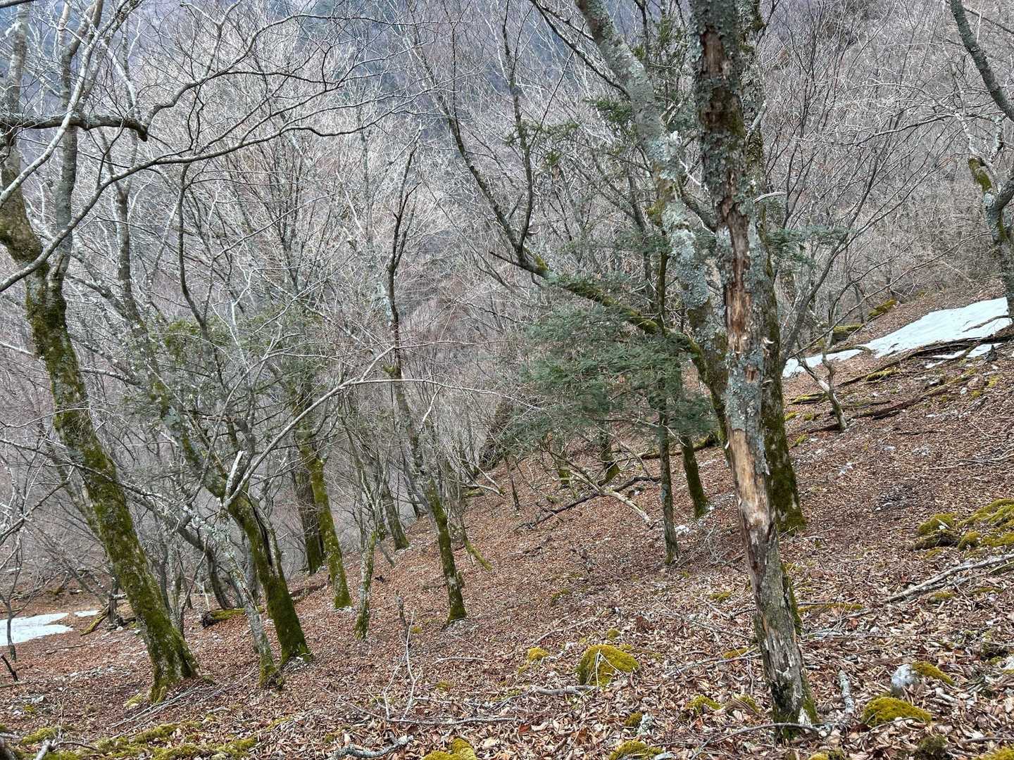 そして、次の難所へ