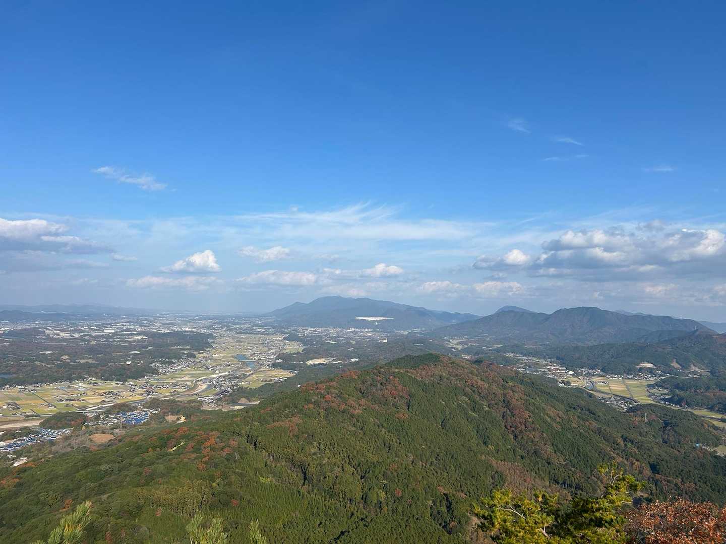 展望台から