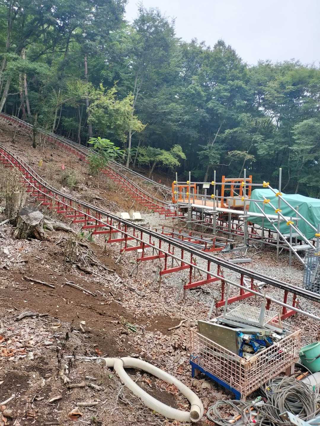山之神登山口-たいら山 往復コースの写真