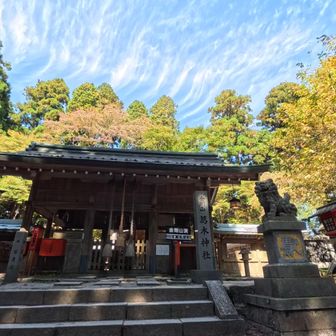 本殿と秋雲のコラボ