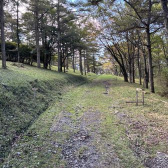 てくてく