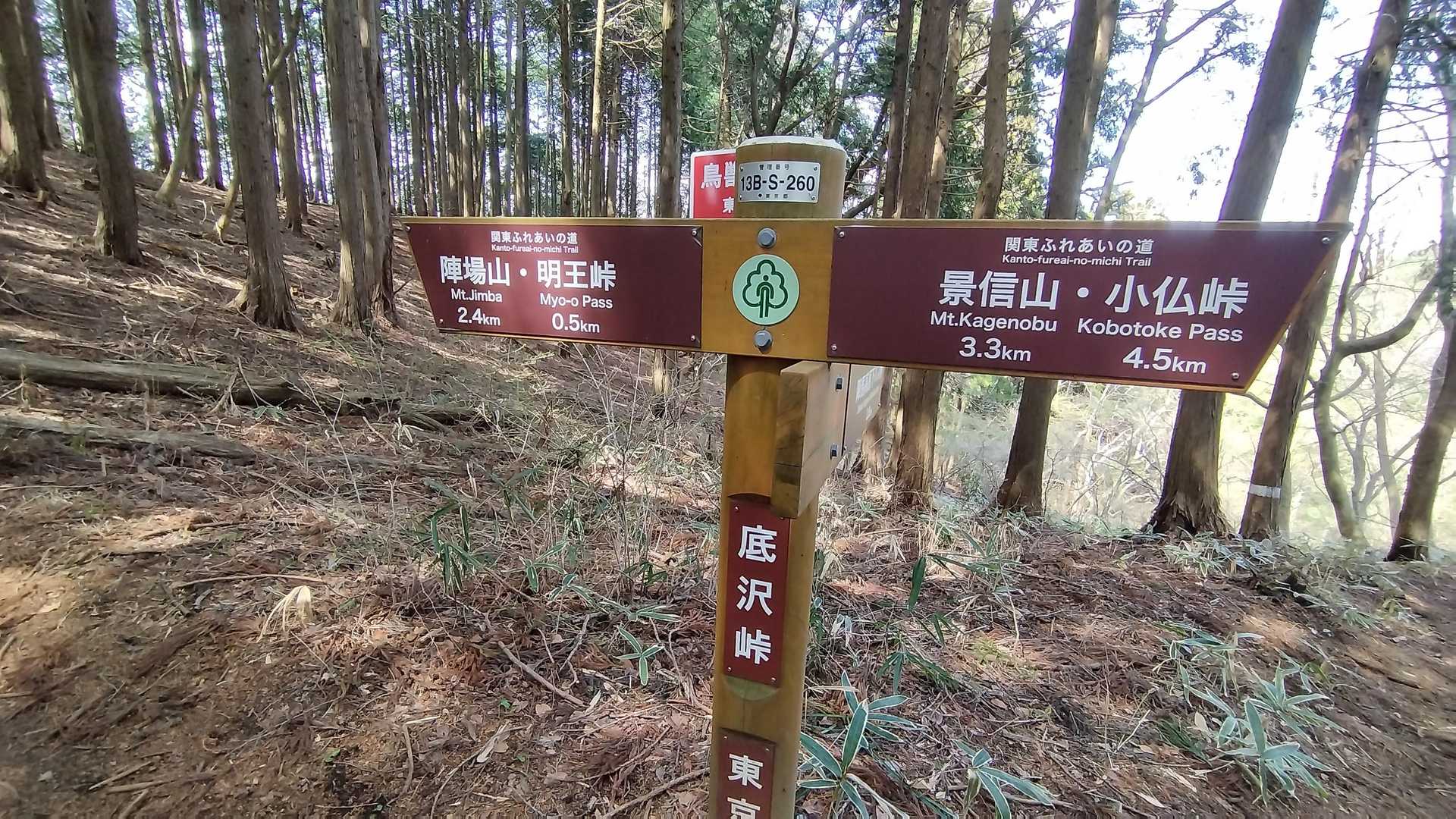 ここから直接バス停に行けるんだけど、今日は久しぶりの陣馬山に行こう(*´˘`*)
