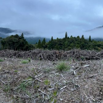 矢岳・竜王山・大幡前山。
明るいうちに下山出来ました。
本日も楽しく山歩きが出来ました。
ありがとうございました。