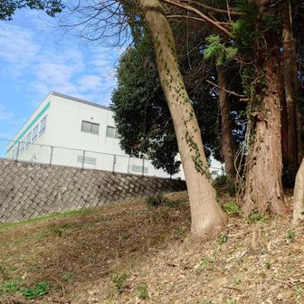 六嶽上宮登山口に出てきました。これから県道?てくてく六ヶ岳登山者🅿️まで。