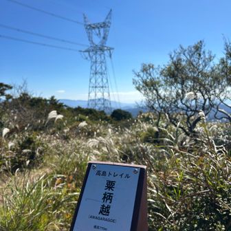 粟柄峠越しの ネコ🐱
こっから 一旦 右に赤坂山目指します💪