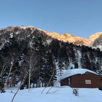 小屋の周りをお散歩😁