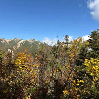 もしやあれは👏
周りの山々とは全く違う山容のゴロー🙏

せっかく4時間のぼったのに、また盛大にくだります😭😭