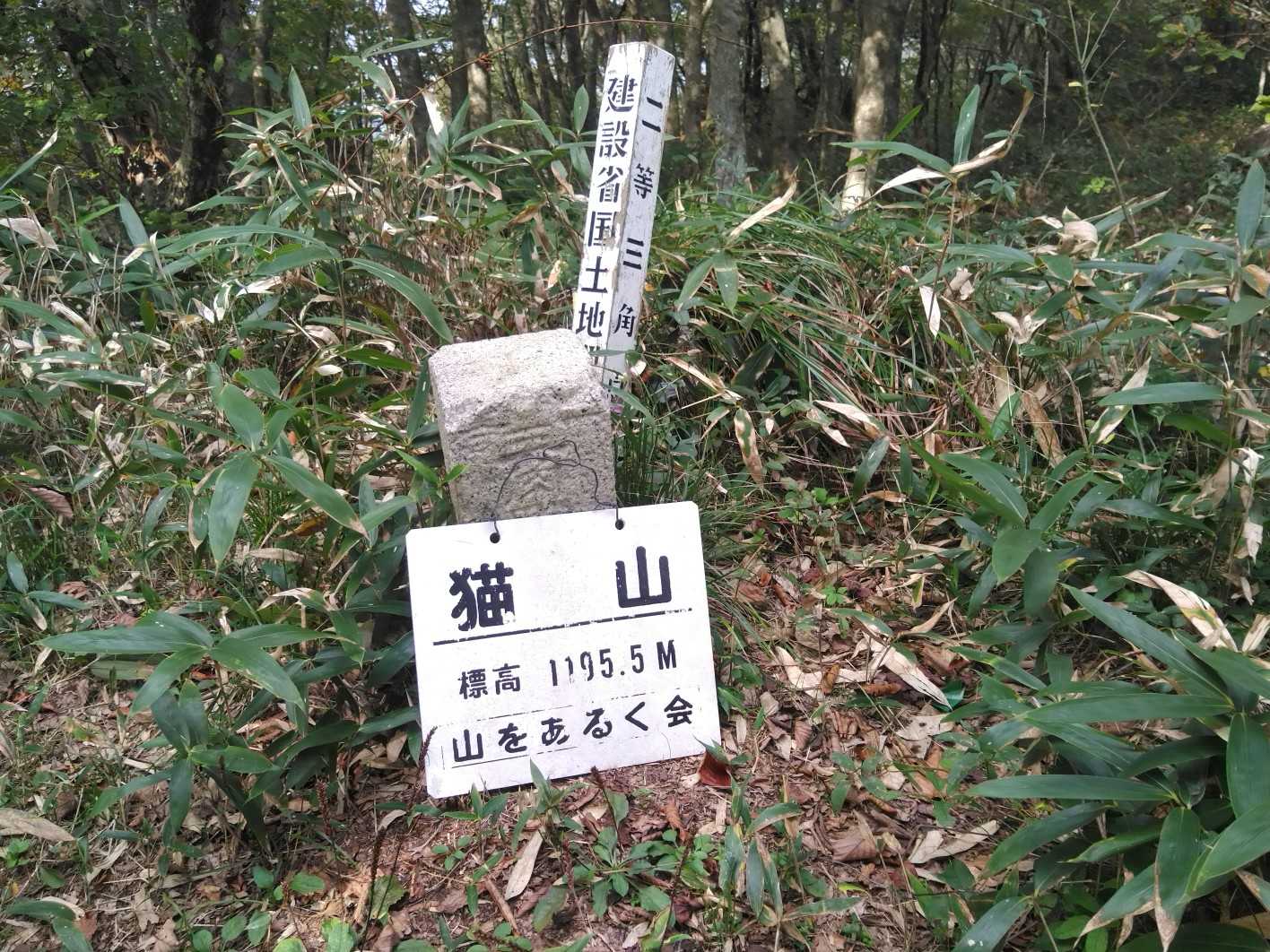 猫山（広島県）の写真