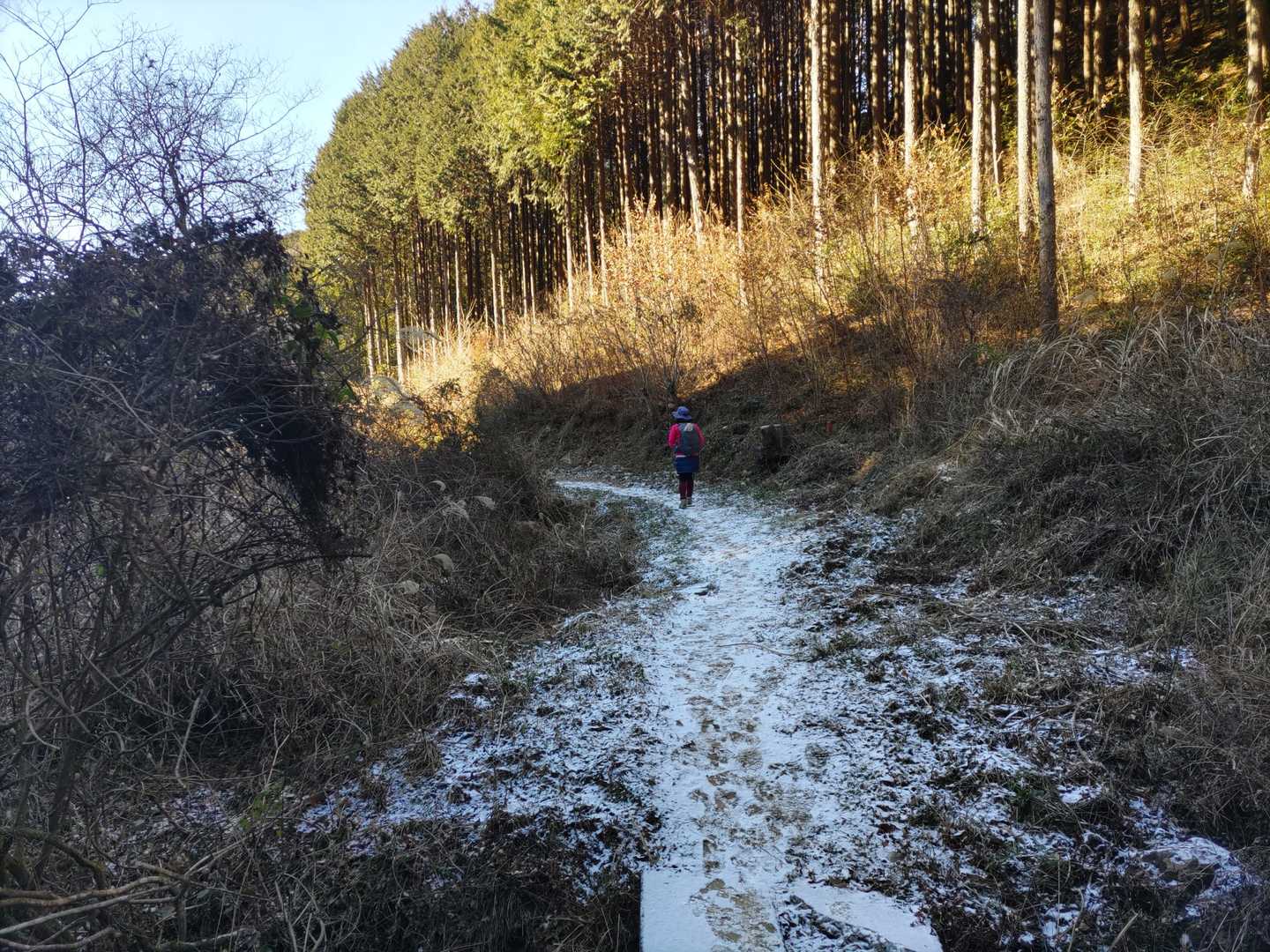 赤根ケ峠に出て、右折し進んで行くと、やっと雪が…
本当は雪散歩がしたかったこゆさん
軽アイゼンまで持参されたのに全然雪がなくて残念そう😭
ほんの少しだけ残ってた雪で感触を味わっていらっしゃいました💕