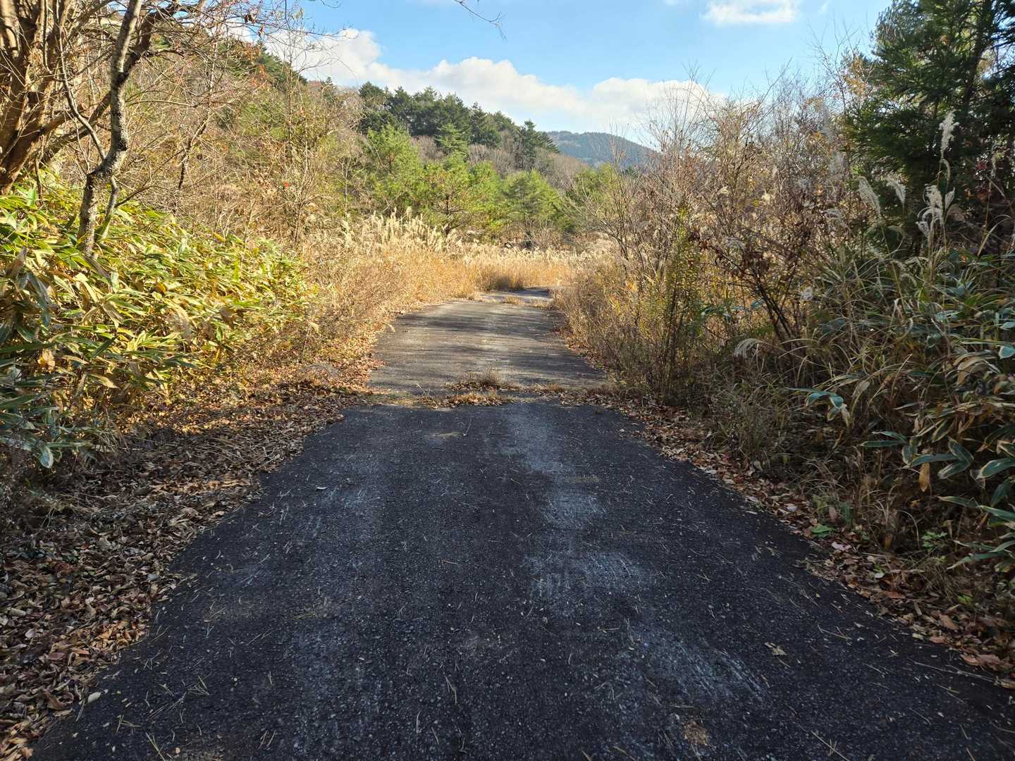 ゴールまで車道歩き🚶