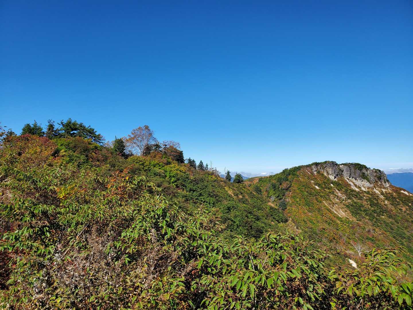 鶴平新道登山口-赤頭山-野谷荘司山-馬狩荘司山-三方岩岳 周回コースの写真