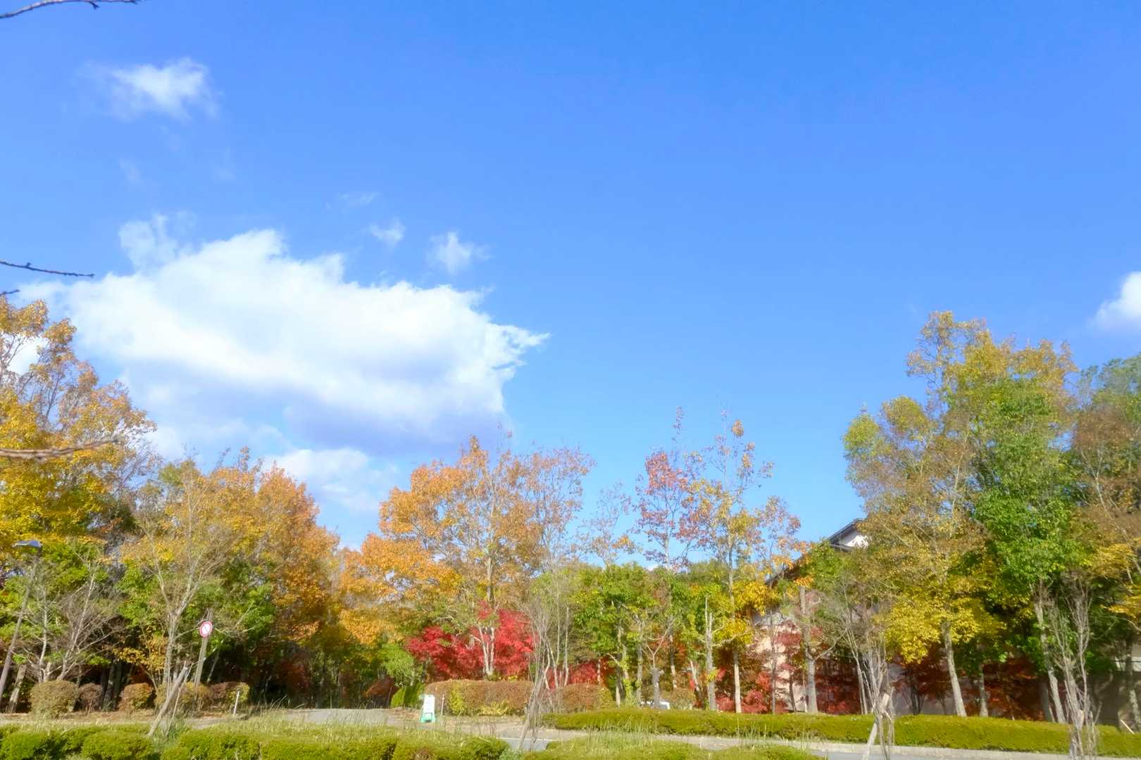 駐車場横の遊歩道
すでに期待感マックス🍁