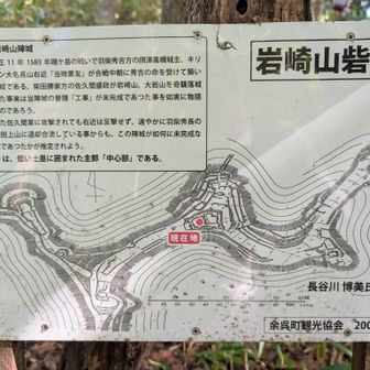 山頂は砦跡みたいですね