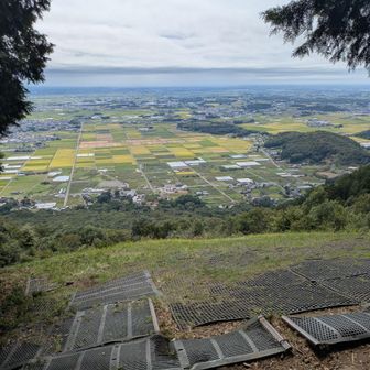 パラグライダー場