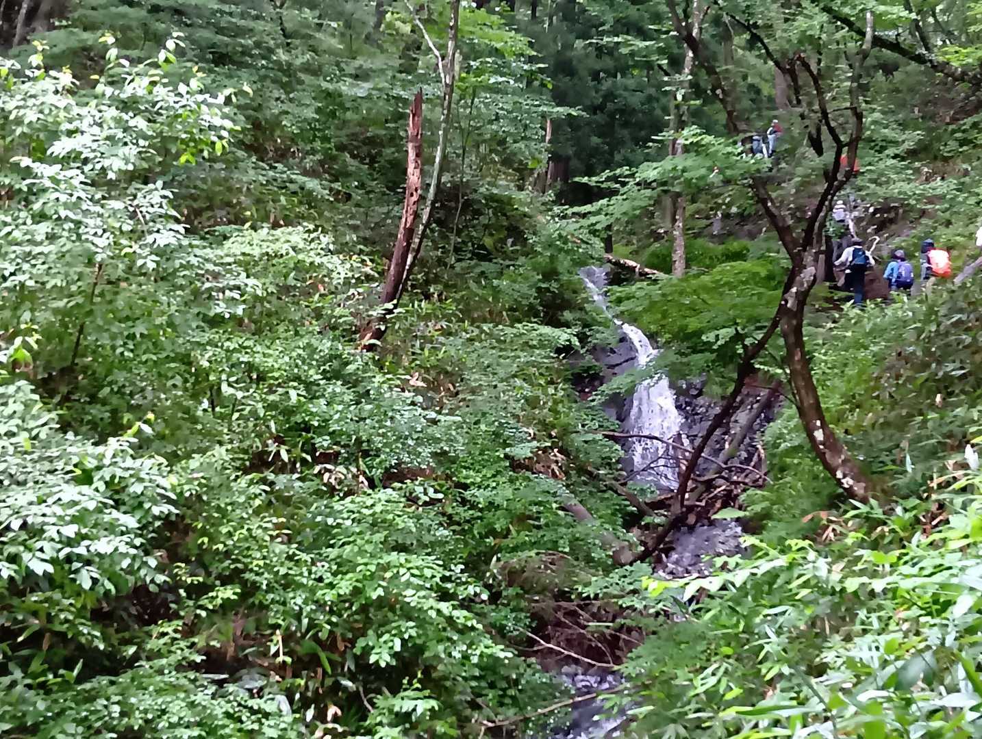 名もなき滝。
水量があって、きれいです。