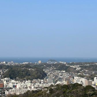 海の真ん中あたりに見えるのは猿島