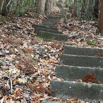 石段…