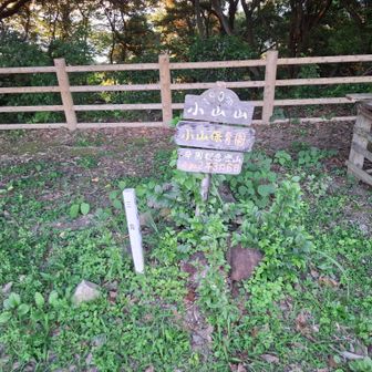小山山山頂