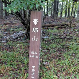 帯那山！この付近では３人スライドした。
さっきまで雨なのにみんな山が好きだね〜💕